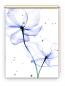 Preview: Rollo Lule tribus blue - Sichtschutz Extartiqe